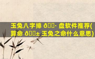 玉兔八字排 🌷 盘软件推荐(算命 🐱 玉兔之命什么意思)